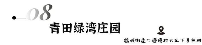 数字游民社区运营大赛来了！全世界有趣的人到丽水去！