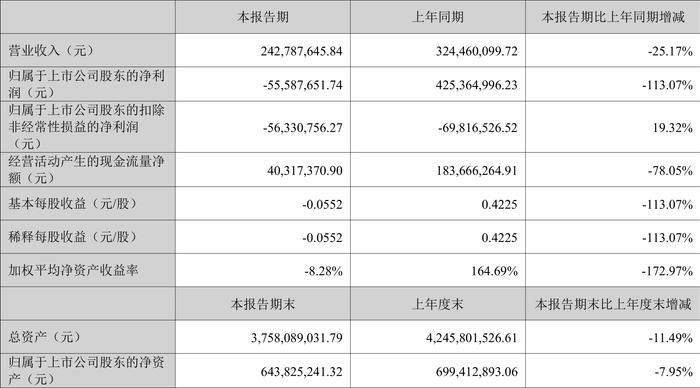 华控赛格：2024年上半年亏损5558.77万元