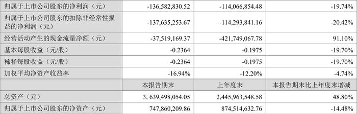 华民股份：2024年上半年亏损1.37亿元