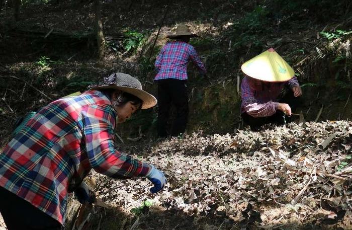 肇庆这些“聚宝盆”，藏不住了！