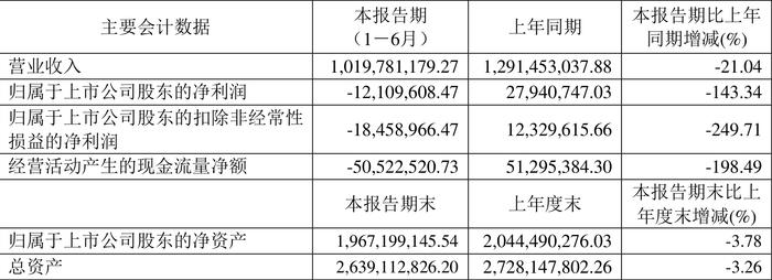 安正时尚：2024年上半年亏损1210.96万元