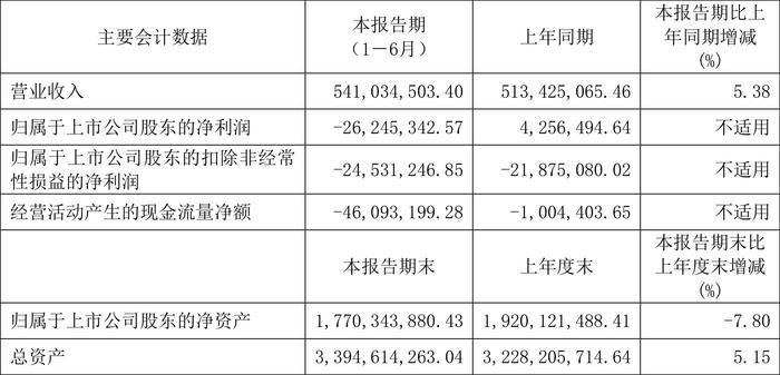 天准科技：2024年上半年亏损2624.53万元