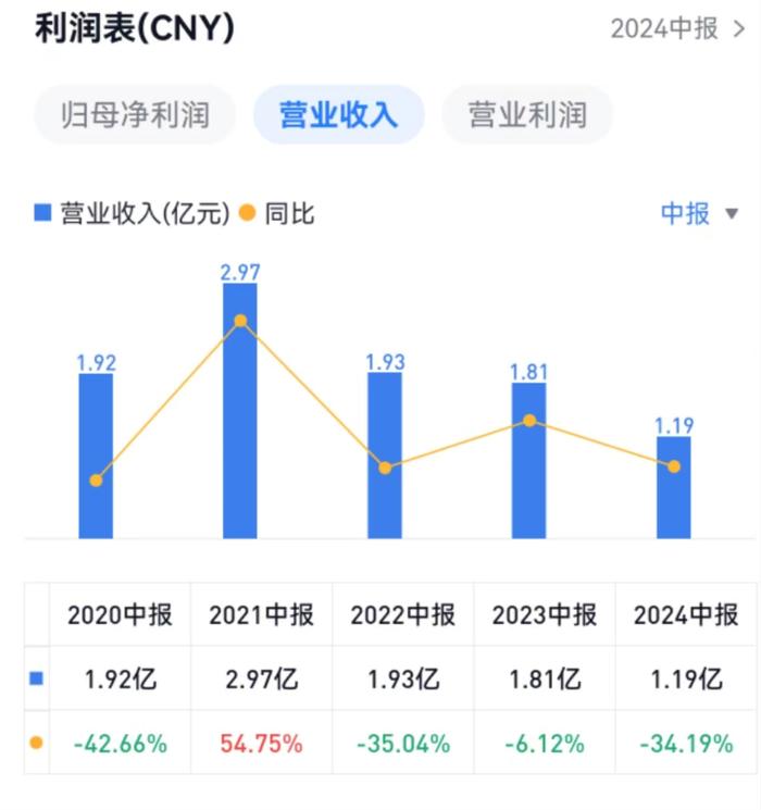 菲林格尔2024上半年亏损扩大，德籍董事长未再提反对丨中报拆解