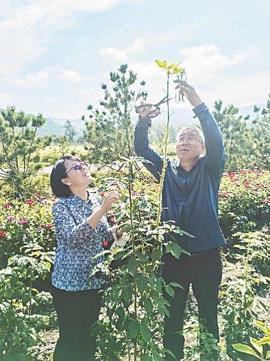 助力伊春寒地龙药产业创新发展