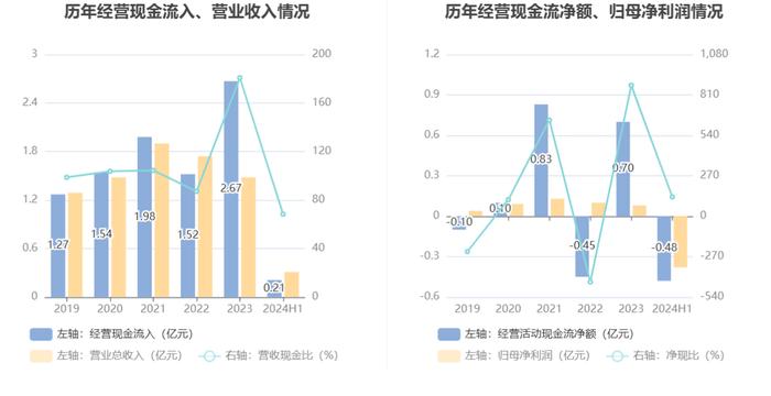 福建金森：2024年上半年亏损3767.22万元