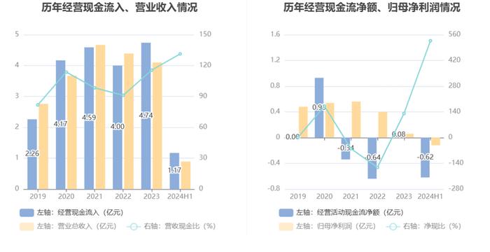 天亿马：2024年上半年亏损1172.90万元