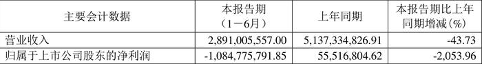 京运通：2024年上半年亏损10.85亿元