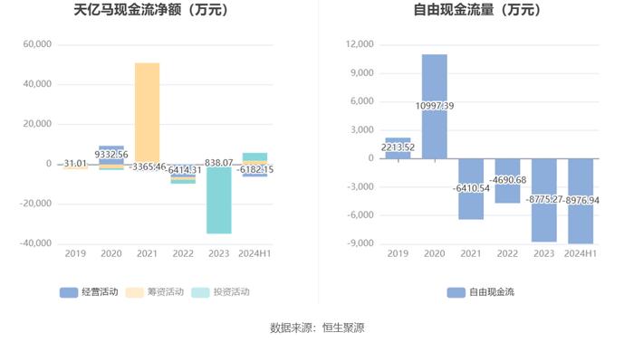 天亿马：2024年上半年亏损1172.90万元