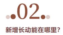 半年营收506亿，解读五粮液长线增长的动能和势能