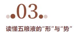 半年营收506亿，解读五粮液长线增长的动能和势能