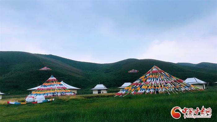 【发言人来了】抓喜秀龙  祁连山下的这片草原太美了！