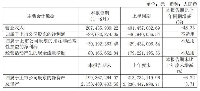 济南高新2024上半年营收2亿元，归母净亏损2963万元 | 中报速递