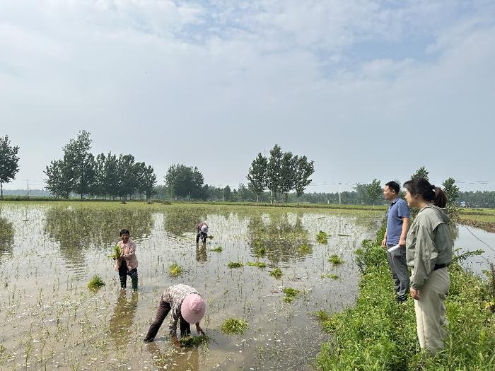 聚焦生态环境、关注设施农业用地管理……直击审计一线