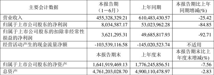 中持股份：2024年上半年净利润803.46万元 同比下降84.85%