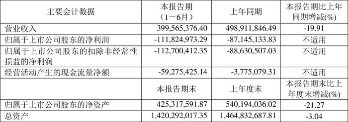 丹化科技：2024年上半年亏损1.12亿元