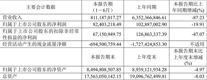 东湖高新：2024年上半年净利润8240.32万元 同比下降19.91%