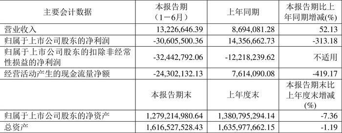 *ST导航：2024年上半年亏损3060.55万元