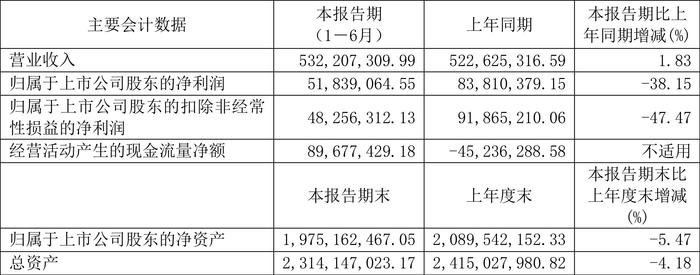 毕得医药：2024年上半年净利润5183.91万元 同比下降38.15%