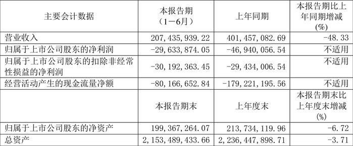 济南高新：2024年上半年亏损2963.39万元