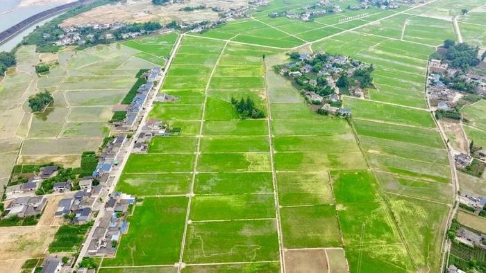 【专家视角】南聪强 杨明等 | 四川城乡建设用地增减挂钩改革路径研究