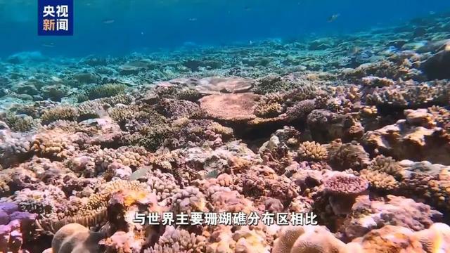 有关我南沙仙宾礁，重磅调查报告发布