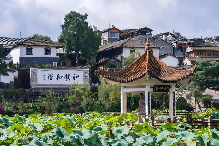 【网评大赛】留住乡愁，守护绿水青山