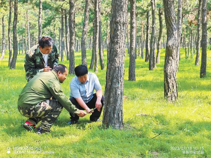 大漠风流谱新篇——记辽宁省沙地治理与利用研究所