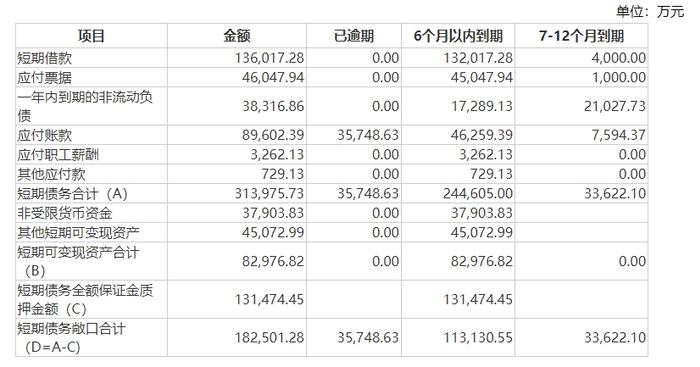 总负债超44亿元、对新能源子公司金融负债担保近11亿元 棒杰股份回复函印证每经此前报道：被多方起诉要求还款