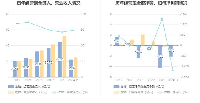 安彩高科：2024年上半年净利润1028.69万元 同比下降68.51%