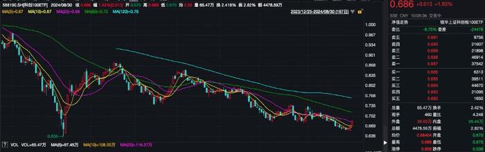 中央汇金上半年增持多只宽基ETF均超百亿份，科创100ETF（588190）早盘涨近2%，芯源微涨超7%丨ETF观察