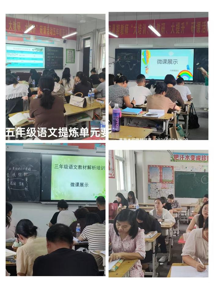 南召县南河店镇中心校：成功举办学片小学教师暑期研课工作