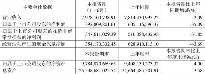 卧龙电驱：2024年上半年净利润3.93亿元 同比下降35.09%