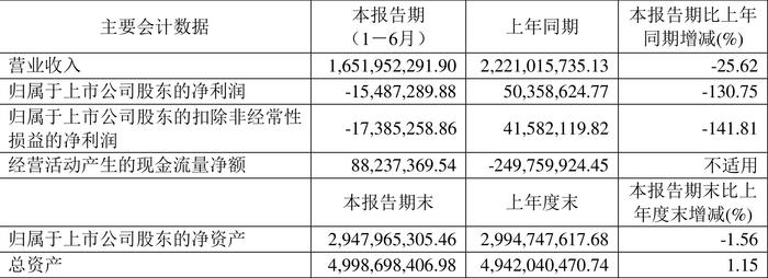 赛伍技术：2024年上半年亏损1548.73万元