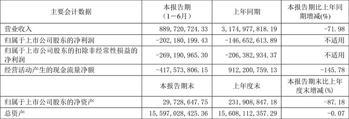 津投城开：2024年上半年亏损2.02亿元