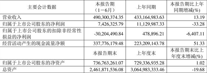 新赛股份：2024年上半年净利润742.63万元 同比下降33.28%