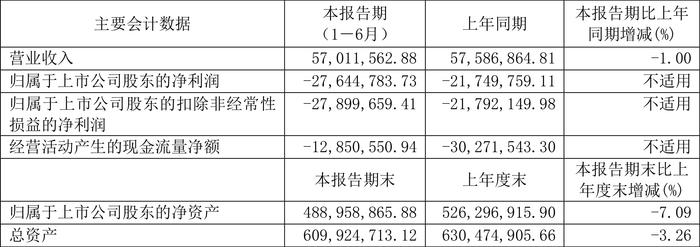 兴图新科：2024年上半年亏损2764.48万元