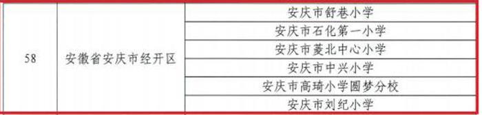 安庆经开区荣登“央馆领航社素质课”应用试点区榜单