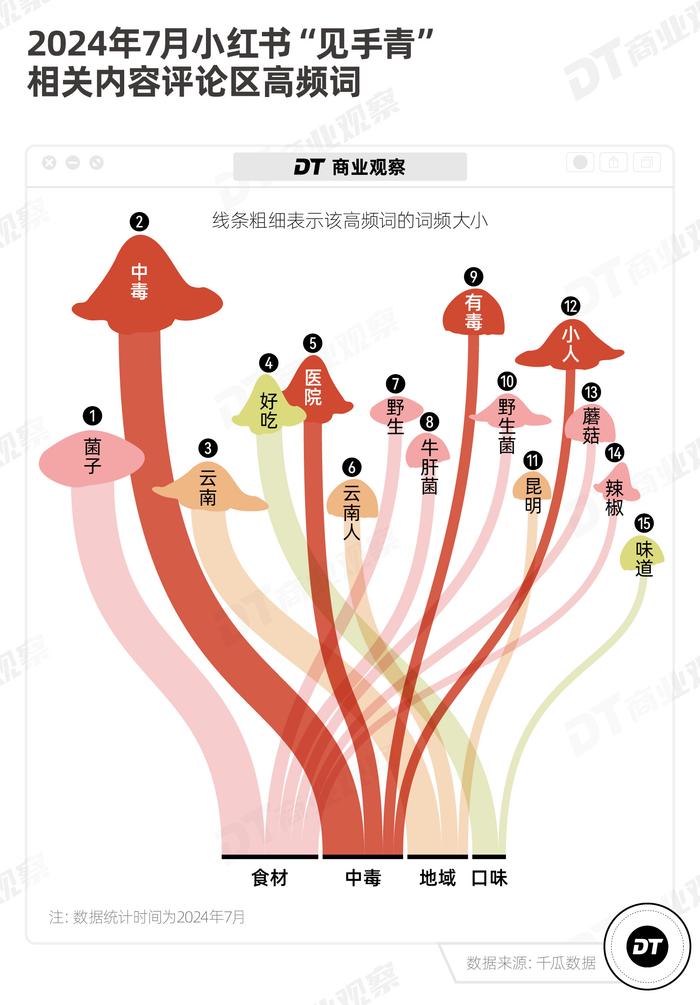 云南见手青，笼络北上广中产