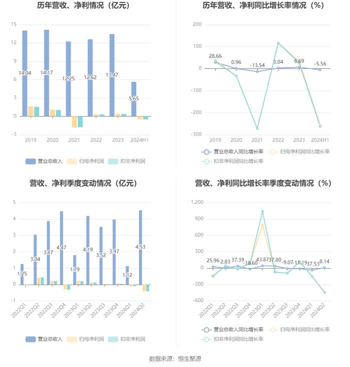 恒实科技：2024年上半年亏损5095.78万元