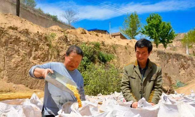 天津公司深耕乡野味道出村进城 创新融合打造“从地头到餐桌”的全产业链