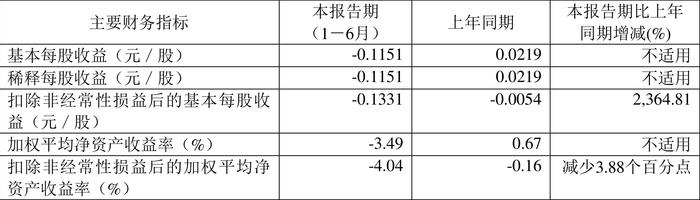 日播时尚：2024年上半年亏损2748.07万元