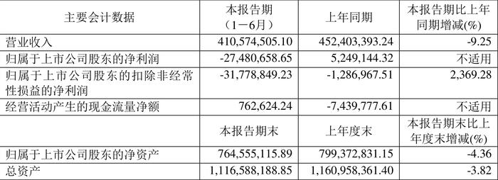 日播时尚：2024年上半年亏损2748.07万元