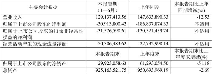 ST起步：2024年上半年亏损3091.38万元