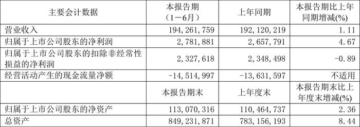 中国能建：2024年上半年净利润同比增长4.67% 拟10派0.125元