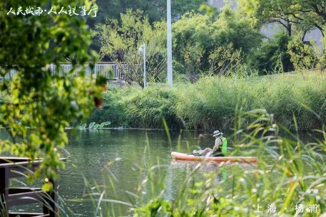 居民在上海这个小区河道“野划”玩嗨，管还是不管？