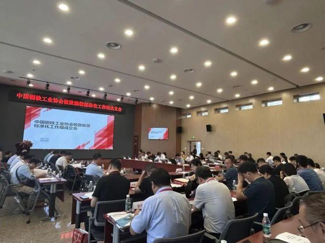 2024第二届钢铁行业极致能效技术交流会暨中国钢铁工业协会极致能效标准化工作组成立会召开