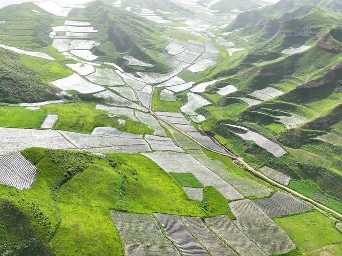 【走近一线法官】法绘新“枫”景 陇原新画卷