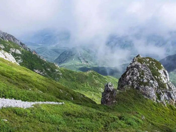 【走近一线法官】法绘新“枫”景 陇原新画卷