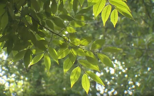 要打雷了，下班放学要当心……