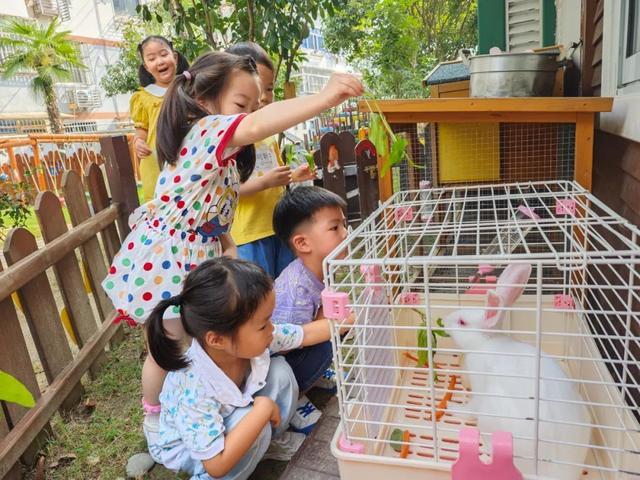 幼儿园“神兽”归笼，开学“仪式感”十足→